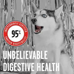 New Rawbble Beef Recipe Grain-Free Freeze-Dried Dog Food Food Dry, Wet, Freeze Dried, Etc.