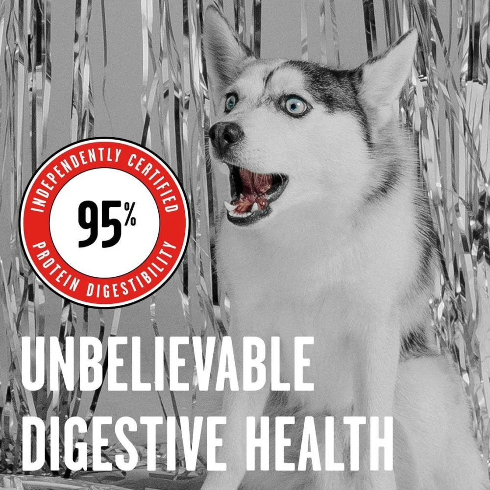 New Rawbble Beef Recipe Grain-Free Freeze-Dried Dog Food Food Dry, Wet, Freeze Dried, Etc.
