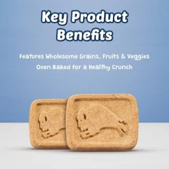 Clearance Health Bars Pumpkin & Cinnamon Treats Treats & Chews