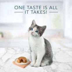 Fashion Tastefuls Kitten Chicken Entree Pate Wet Food Cans, Pouches, Tetra Paks, Etc.