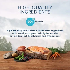 Hot Wilderness Cat Food Adult Salmon Dry Food Dry Cat Food