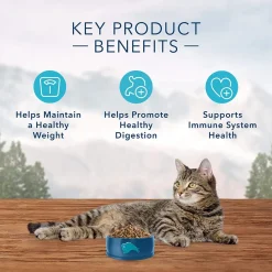 Discount Wilderness Cat Food Adult Weight Control Dry Food Dry Cat Food