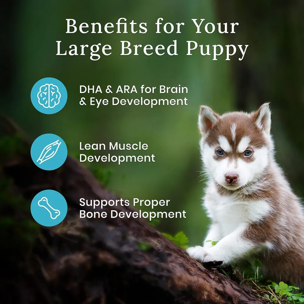 Sale Wilderness More Meat & Wholesome Grains Natural Dry Dog Food Large Breed Puppy Chicken Food Dry, Wet, Freeze Dried, Etc.