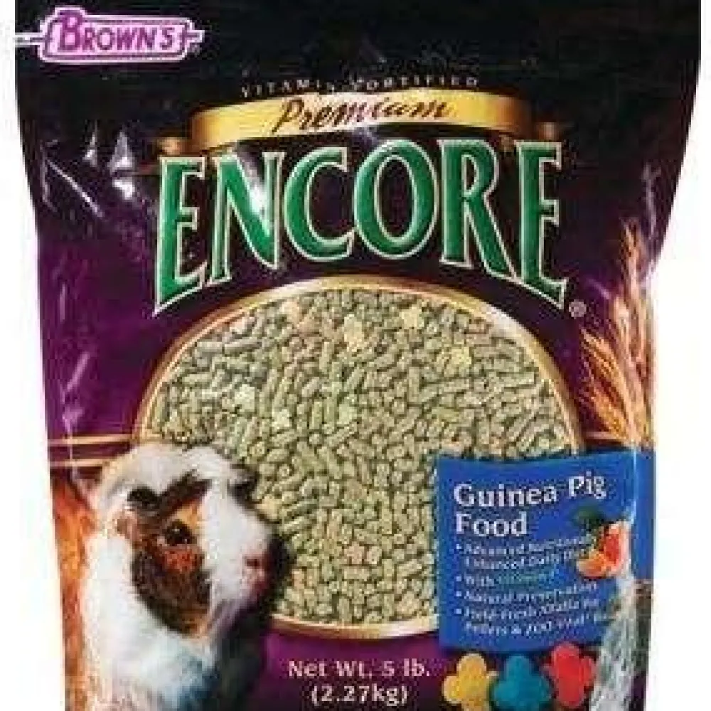 New Premium Encore Guinea Pig Food Shop Small Animal Find All Of The Essentials