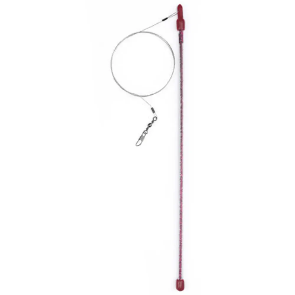 Hot Action Rod Supplies Collars, Scratchers, Toys, Etc.