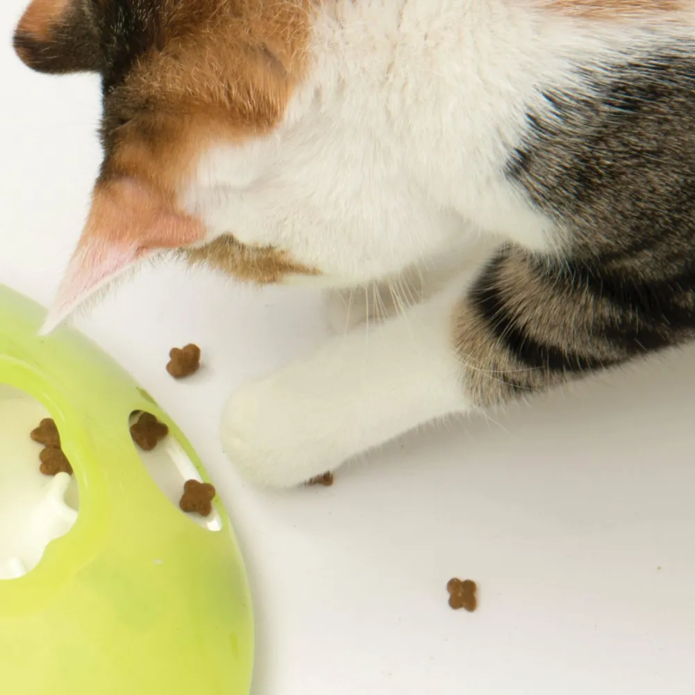 Online 2.0 Play Treat Spinner Supplies Collars, Scratchers, Toys, Etc.