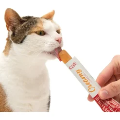 New Creamy Lickable Treats Assorted Treats Crunchy, Soft, Lickable, Etc.