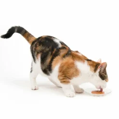 Clearance Creamy Lickable Treats Chicken & Shrimp Treats Crunchy, Soft, Lickable, Etc.