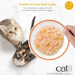 Clearance Divine Shreds Chicken, Salmon & Pumpkin In Jelly 4 Pack Wet Food Cans, Pouches, Tetra Paks, Etc.