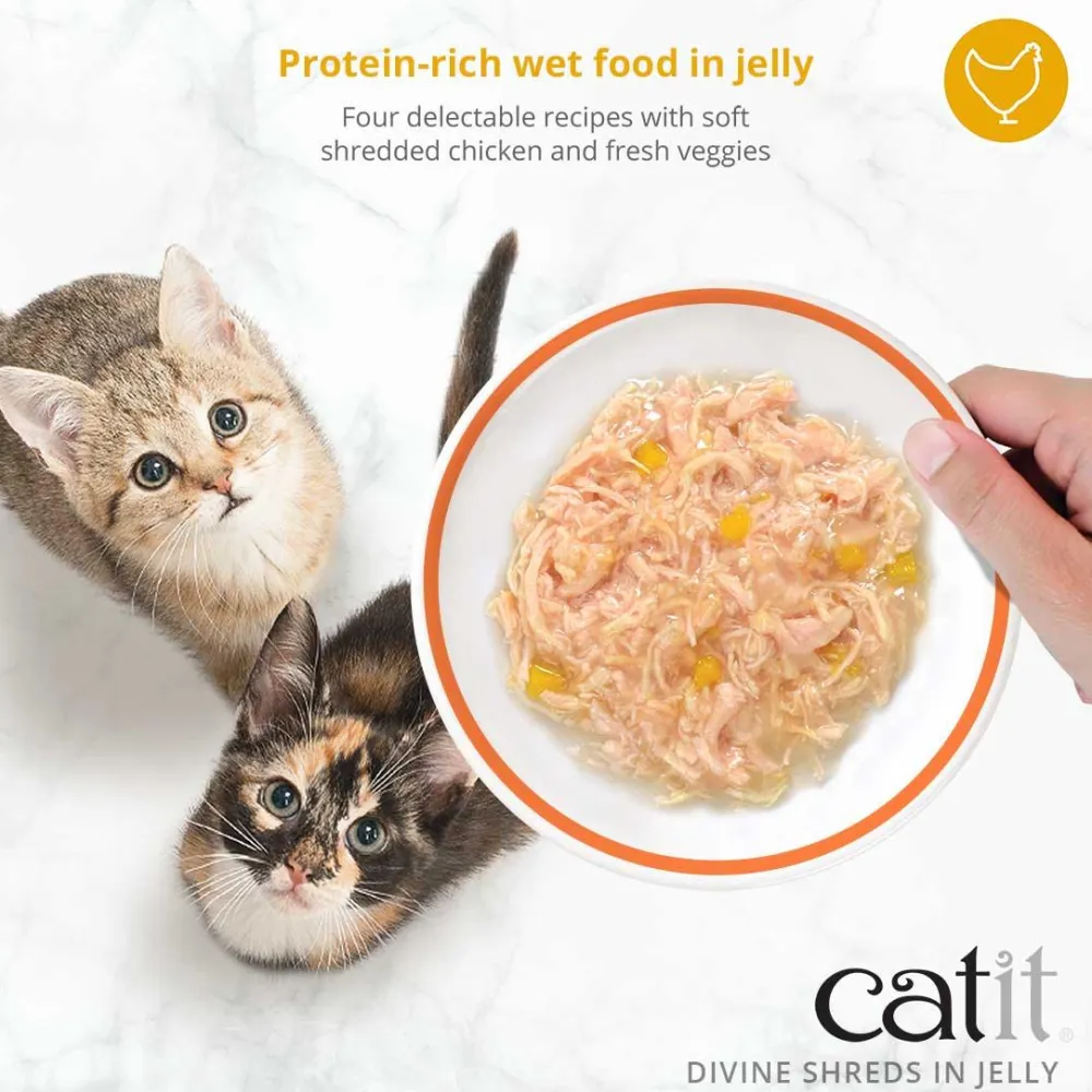 Sale Divine Shreds Chicken, Tuna & Carrot In Jelly 4 Pack Wet Food Cans, Pouches, Tetra Paks, Etc.