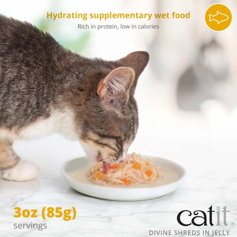 Hot Divine Shreds Tuna, Shrimp & Pumpkin In Jelly 4 Pack Wet Food Cans, Pouches, Tetra Paks, Etc.