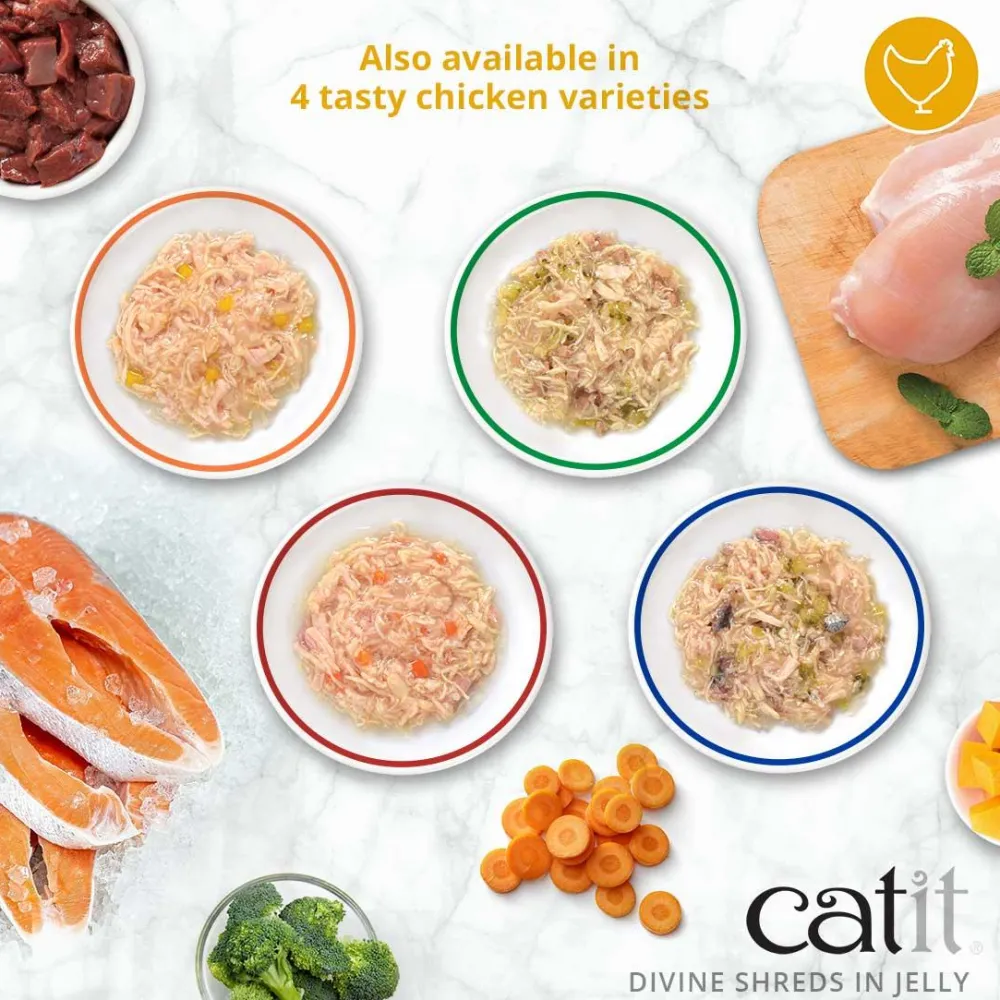 Hot Divine Shreds Tuna, Shrimp & Pumpkin In Jelly 4 Pack Wet Food Cans, Pouches, Tetra Paks, Etc.