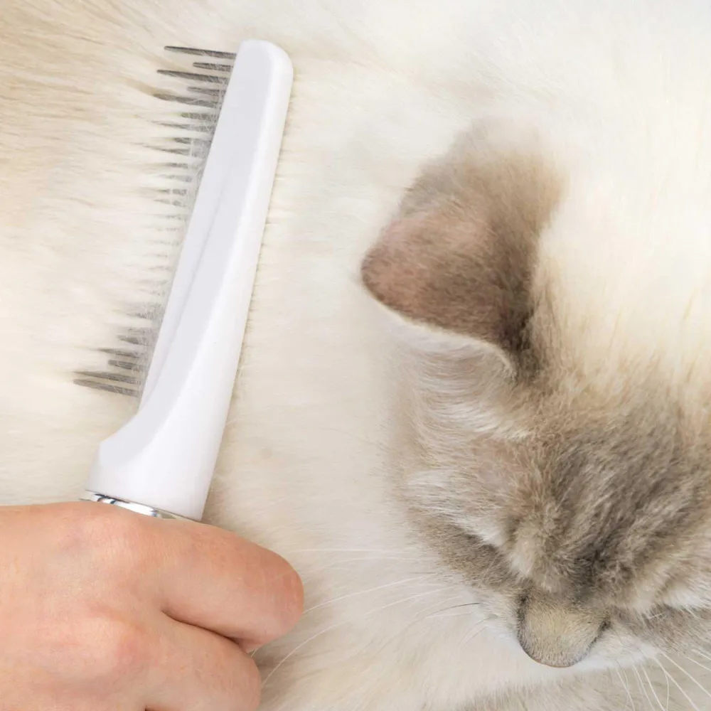 Clearance Grooming Kit Long Hair Supplies Collars, Scratchers, Toys, Etc.