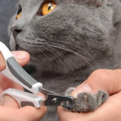 Sale Grooming Kit Short Hair Supplies Collars, Scratchers, Toys, Etc.