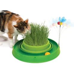 Hot Play Grass, Bee, And Ball Supplies Collars, Scratchers, Toys, Etc.