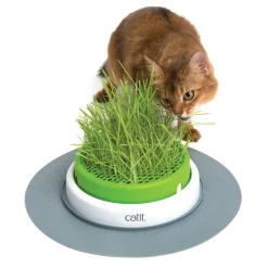 Outlet Senses 2.0 Grass Planter Supplies Collars, Scratchers, Toys, Etc.
