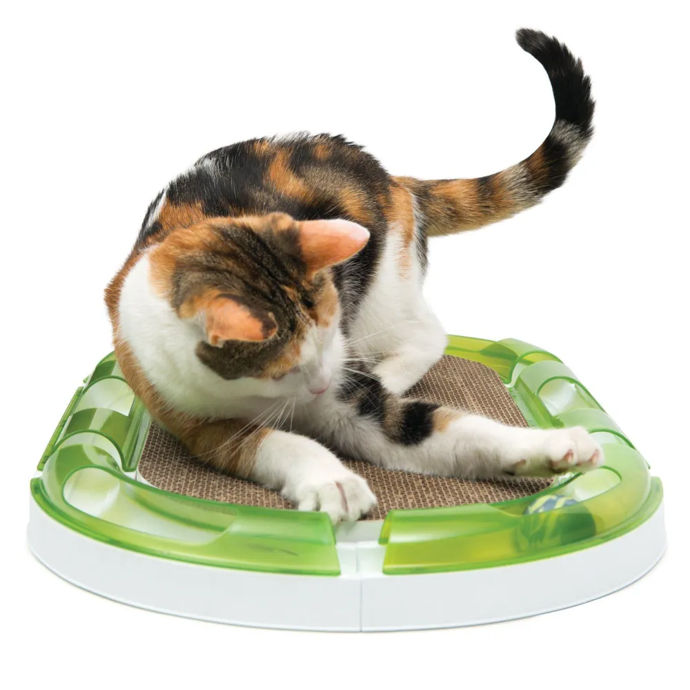 Sale Senses 2.0 Oval Circuit Scratcher Supplies Collars, Scratchers, Toys, Etc.