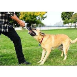 Outlet Chuck It Hydro Squeeze Duo Tug Supplies Leashes, Collars, Beds, Flea & Tick, Etc. | Toys Interactive, Plush, Etc.