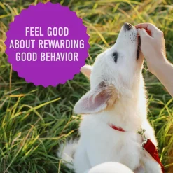 Online Tricky Trainers With Liver Treats Treats & Chews