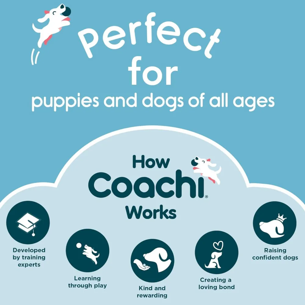 Online Whizzclick Supplies Leashes, Collars, Beds, Flea & Tick, Etc.