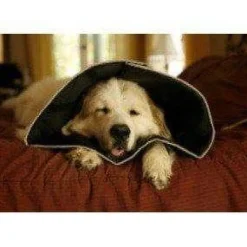 Best E-Collar for Dogs & Cats, Black Supplies Leashes, Collars, Beds, Flea & Tick, Etc.