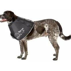 Best E-Collar for Dogs & Cats, Black Supplies Leashes, Collars, Beds, Flea & Tick, Etc.