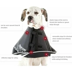 Best E-Collar for Dogs & Cats, Black Supplies Leashes, Collars, Beds, Flea & Tick, Etc.