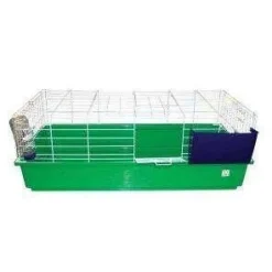 Best Critter Bunch Hamster Cage Shop Small Animal Find All Of The Essentials