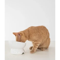 New Raised Ceramic Cat Bowl White Supplies Collars, Scratchers, Toys, Etc.