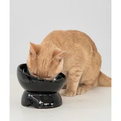 Sale Raised Ceraminc Cat Bowl Black Supplies Collars, Scratchers, Toys, Etc.