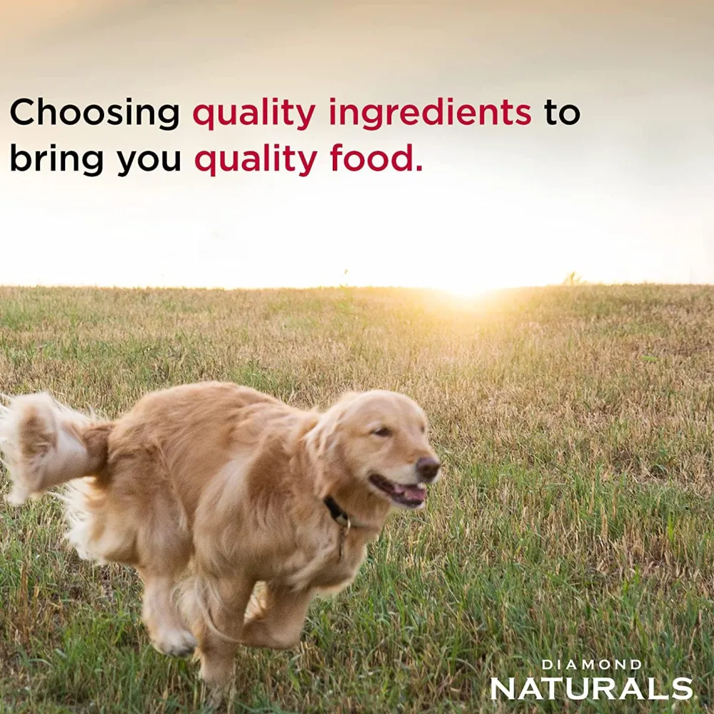 Clearance Naturals Dog Food Grain Free Skin & Coat Salmon And Potato Food Dry, Wet, Freeze Dried, Etc.