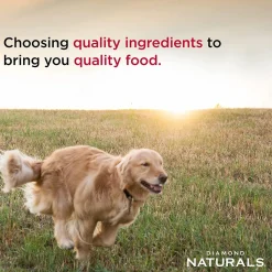 Hot Naturals Large Breed Puppy Food Lamb & Rice Recipe Food Dry, Wet, Freeze Dried, Etc.