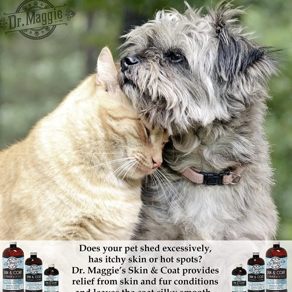 New Dr. Maggie Skin and Coat Omega 3 Supplement with Fish Oil, Flax, and Olive Oil Supplies Leashes, Collars, Beds, Flea & Tick, Etc.