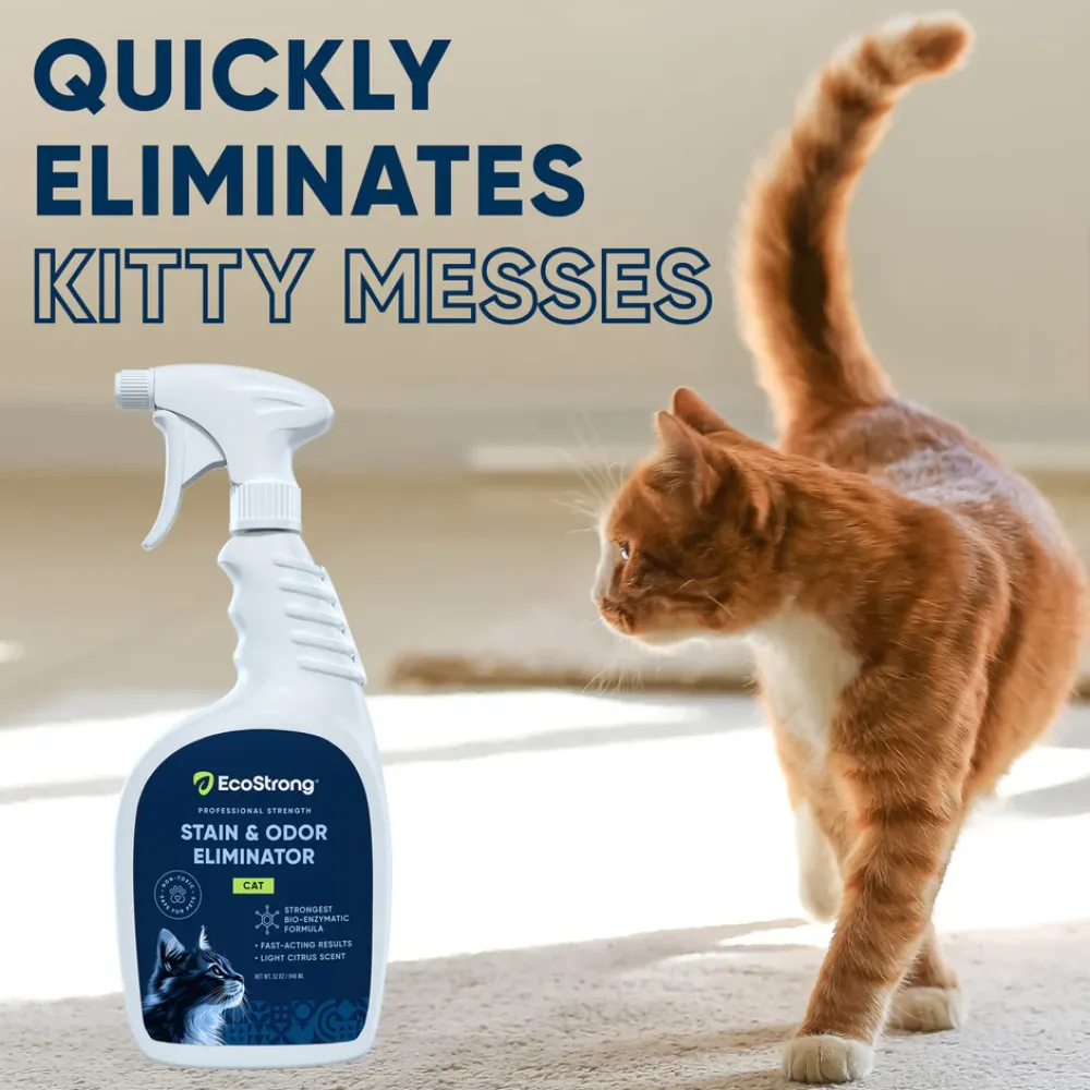 Outlet Eco Strong Cat Stain & Odor Sprayer Supplies Leashes, Collars, Beds, Flea & Tick, Etc.
