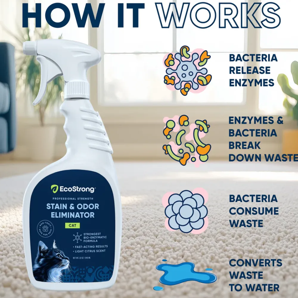 Outlet Eco Strong Cat Stain & Odor Sprayer Supplies Leashes, Collars, Beds, Flea & Tick, Etc.