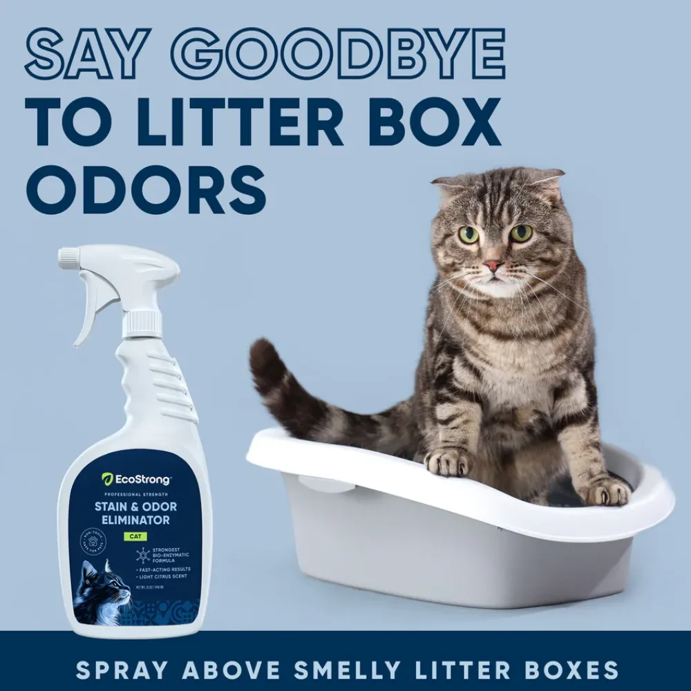 Outlet Eco Strong Cat Stain & Odor Sprayer Supplies Leashes, Collars, Beds, Flea & Tick, Etc.