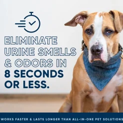 Online Eco Strong Dog Stain & Odor Sprayer Supplies Leashes, Collars, Beds, Flea & Tick, Etc.