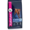 Sale Dog Food Senior Large Breed Food Dry, Wet, Freeze Dried, Etc.