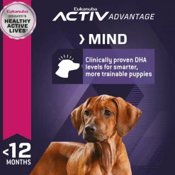 Online Puppy Food Large Breed Food Dry, Wet, Freeze Dried, Etc.
