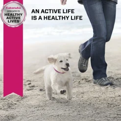 Online Puppy Food Large Breed Food Dry, Wet, Freeze Dried, Etc.
