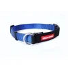 Clearance Checkmate Dog Collar Blue Supplies Leashes, Collars, Beds, Flea & Tick, Etc.