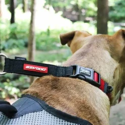 Clearance Checkmate Dog Collar Blue Supplies Leashes, Collars, Beds, Flea & Tick, Etc.