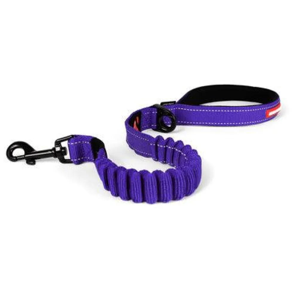 Sale Zero Shock Dog Leash Purple Supplies Leashes, Collars, Beds, Flea & Tick, Etc.