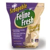 Fashion Scoopable Cat Litter Supplies Collars, Scratchers, Toys, Etc.