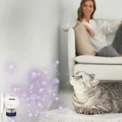 Online Optimum Cat, Enhanced Calming Pheromone Diffuser, 30 Day Starter Kit Supplies Collars, Scratchers, Toys, Etc.