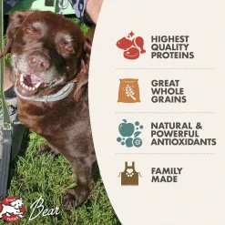 Clearance Classic Adult Dog Food Food Dry, Wet, Freeze Dried, Etc.