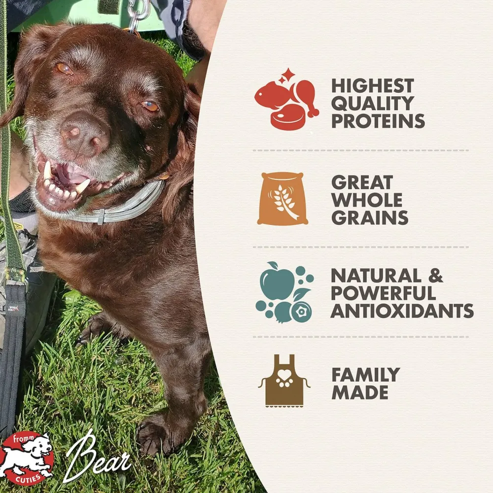 Clearance Classic Adult Dog Food Food Dry, Wet, Freeze Dried, Etc.