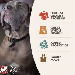 Hot Classic Adult Large & Giant Breed Dog Food Food Dry, Wet, Freeze Dried, Etc.