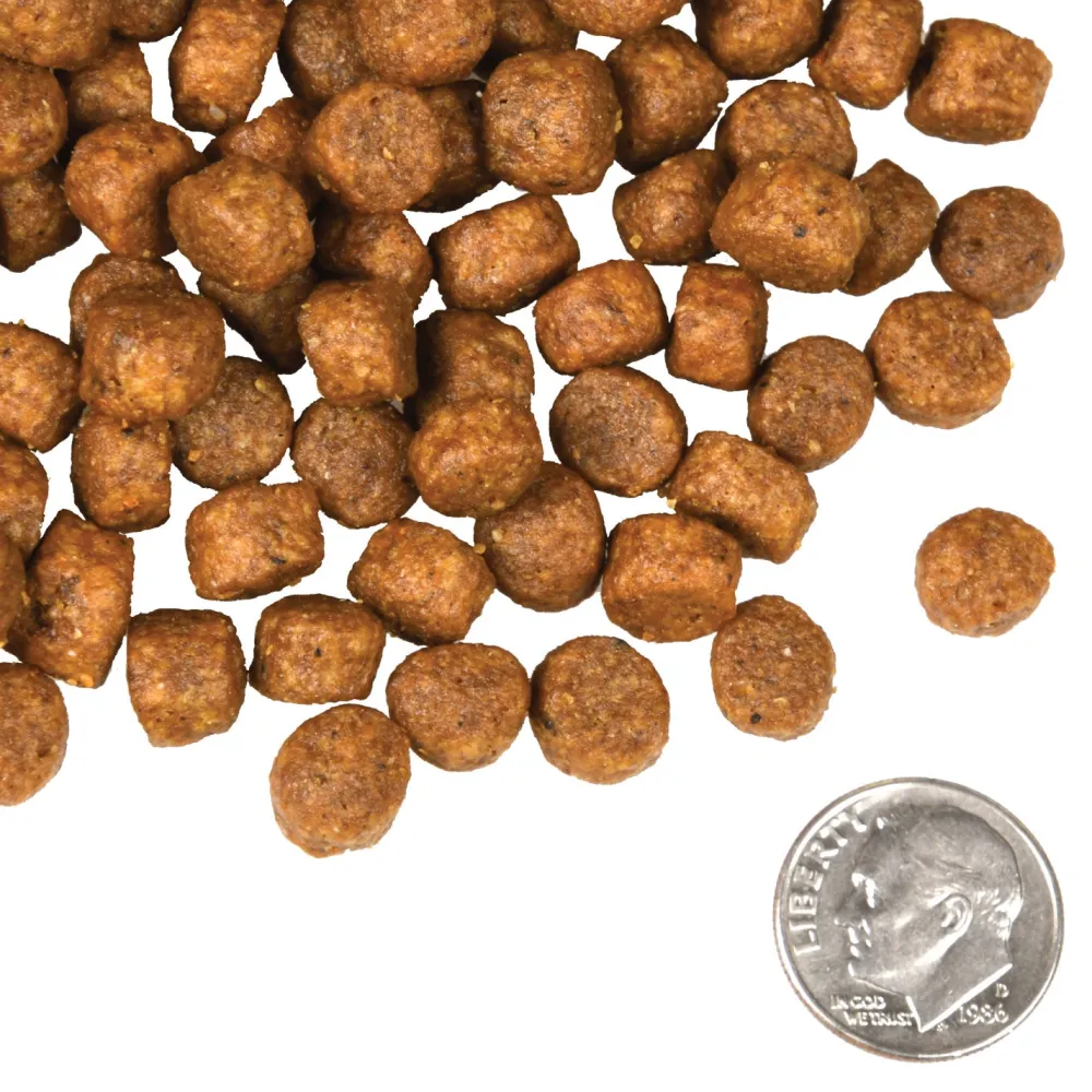 Fashion Four Star Canine Beef Frittata Food Dry, Wet, Freeze Dried, Etc.