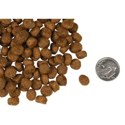 Clearance Four Star Canine Whitefish & Potato Food Dry, Wet, Freeze Dried, Etc.